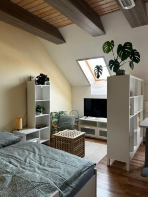 Útulný apartmán v centre Kežmarku